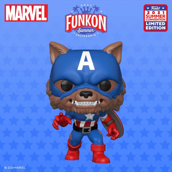 funko year of the shield