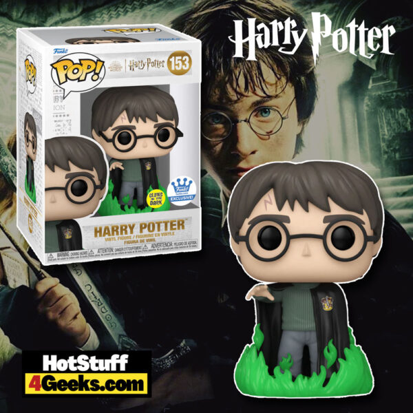 2022 New Harry Potter With Floo Powder Glow Funko Pop